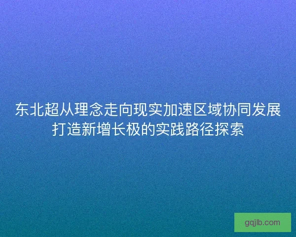 东北超从理念走向现实加速区域协同发展打造新增长极的实践路径探索