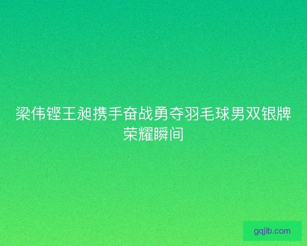 梁伟铿王昶携手奋战勇夺羽毛球男双银牌荣耀瞬间